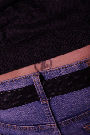  Bildname: 12.jpg 
 Breite: 283 Pixel 
 Höhe: 425 Pixel 
 Grösse: 139 kB 